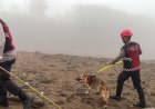Unit Polsatwa Ditsamapta Polda Sumbar Turunkan K9 Spesifikasi SAR Telusuri Jalur Air Bah