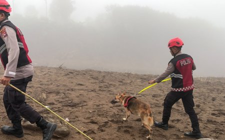 Unit Polsatwa Ditsamapta Polda Sumbar Turunkan K9 Spesifikasi SAR Telusuri Jalur Air Bah